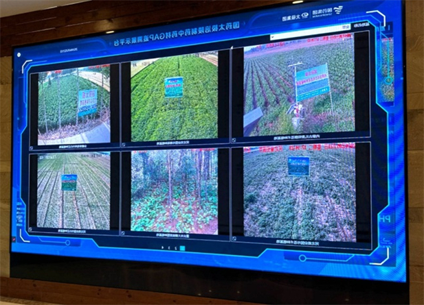 1717561893687003109.jpg 1.jpg