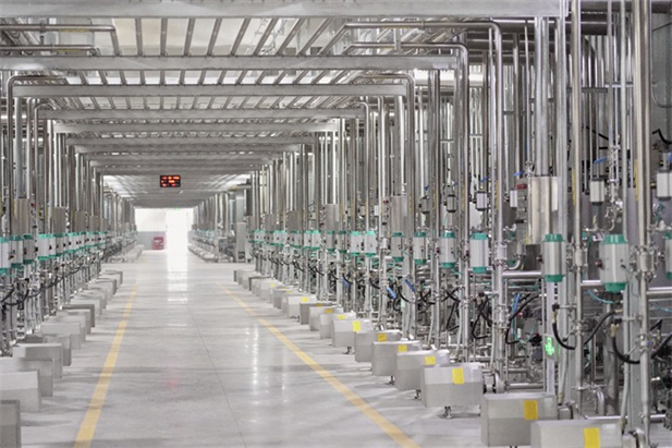 1717561906053092548.jpg 3.jpg