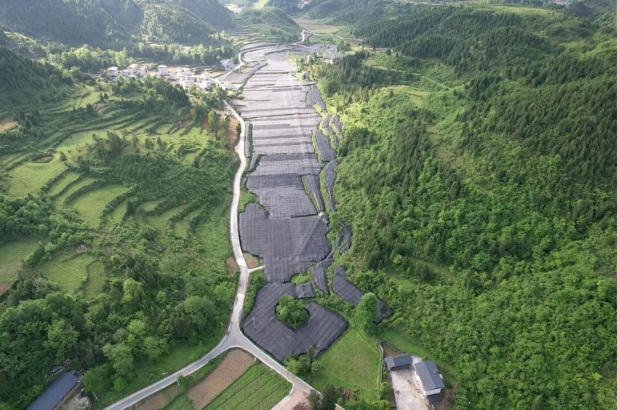 1743489883992013515.jpg 1.jpg