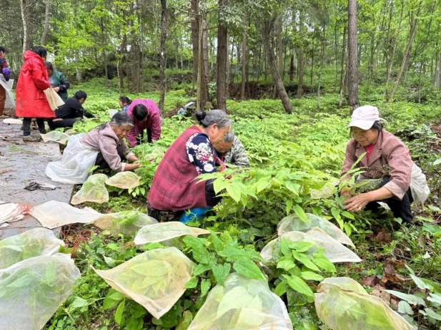 1743489897501078762.jpg 2.jpg