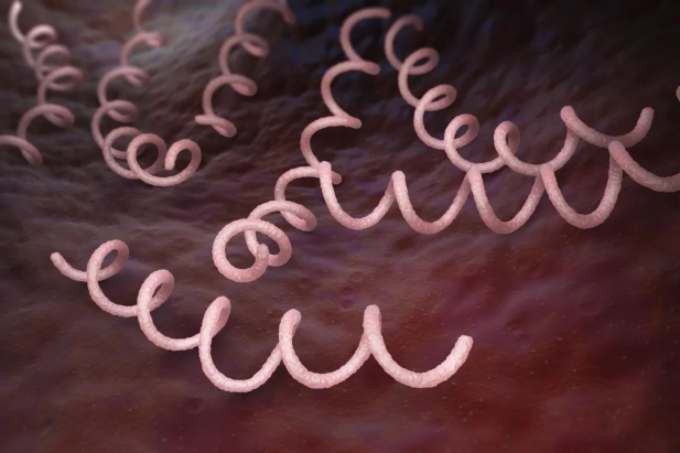 1745819940193045936.png 2.png