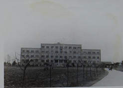 1958年，成都生物制品研究所成立。通过几年的机构调整、改造和建设，我国建成了六大生物制品研究所