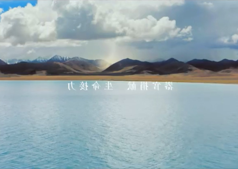 器官捐献 生命接力