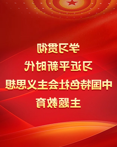 学习贯彻习近平新时代中国特色社会主义思想主题教育