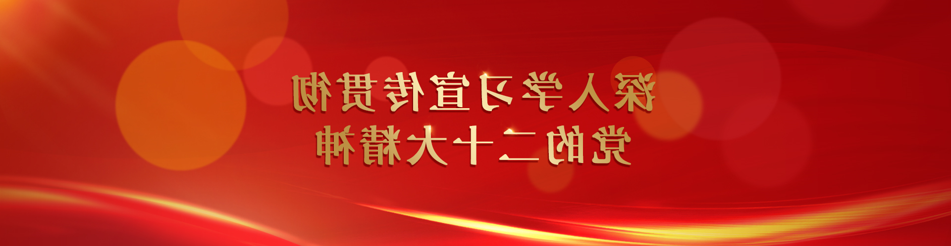 深入学习宣传贯彻党的二十大精神