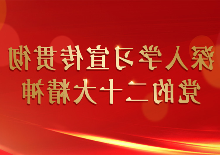 深入学习宣传贯彻党的二十大精神