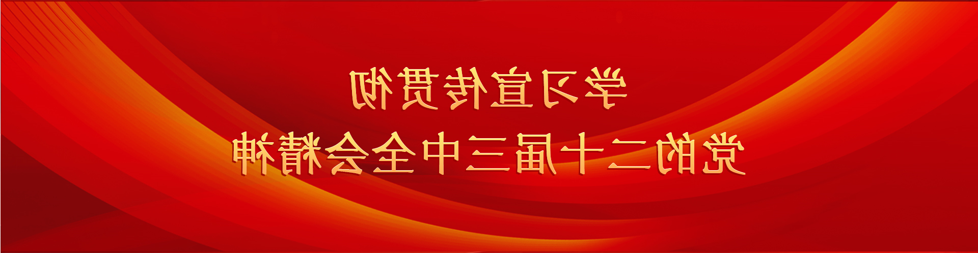 学习宣传贯彻党的二十届三中全会精神