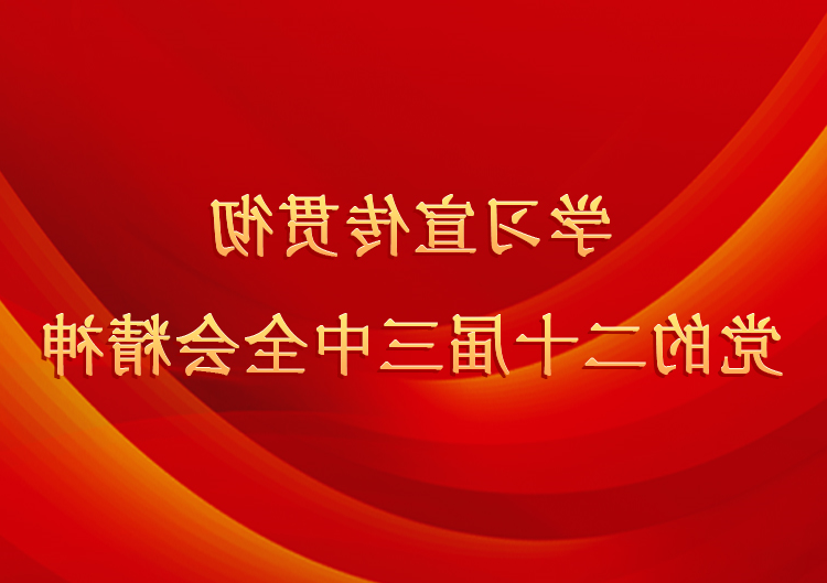 学习宣传贯彻党的二十届三中全会精神