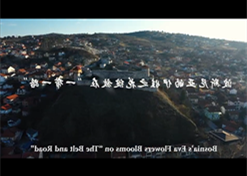 波斯尼亚的伊娃之花